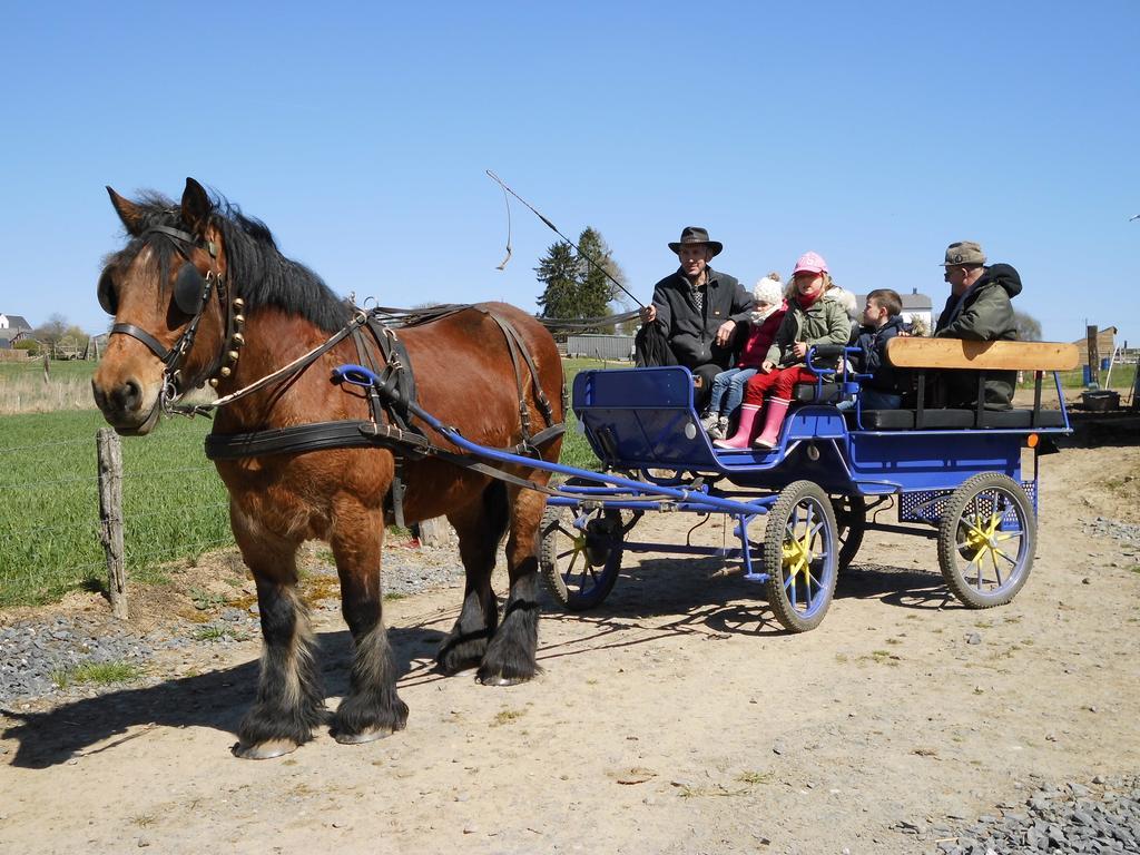 Gouvy B&B Willow Springs Way Station מראה חיצוני תמונה